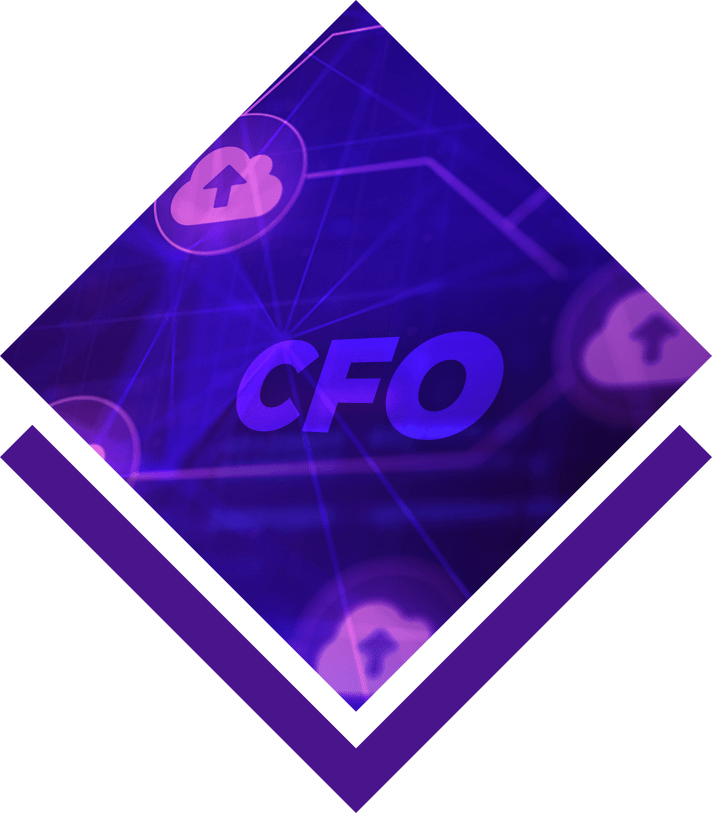 Virtual CFO